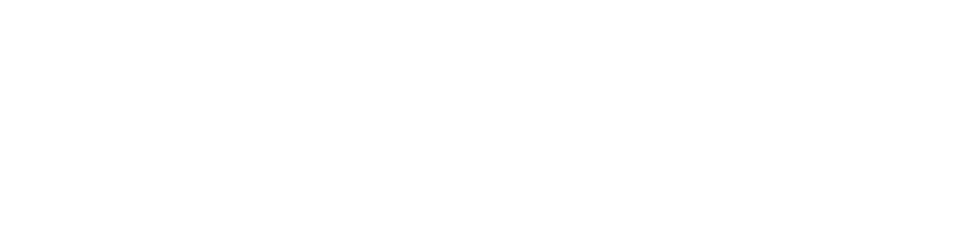 Alliance Prime Consulting Group